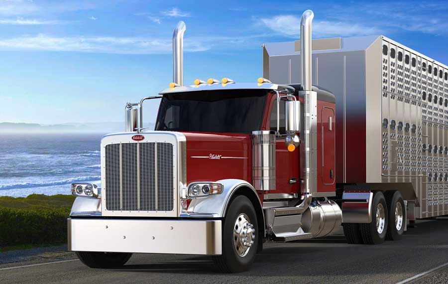 Peterbilt 589 Truck