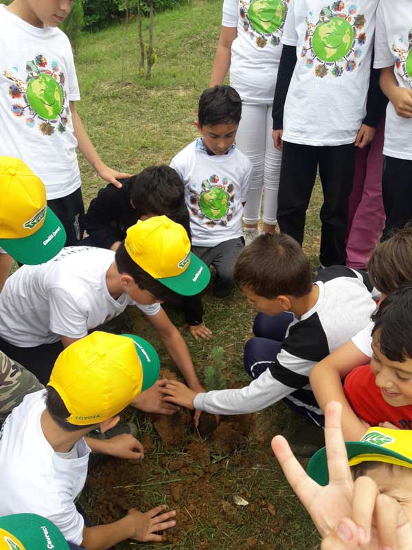 Toyota Otomotiv Sanayi Türkiye