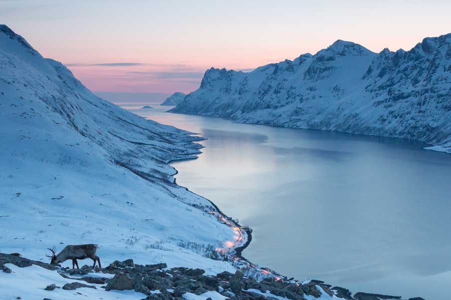 SAS expands connectivity to Scandinavian winter destinations SAS