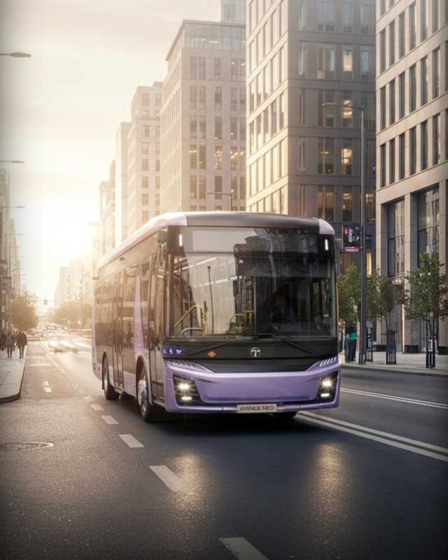 TEMSA