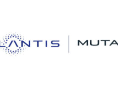 Stellantis, Free2move’un araç paylaşım faaliyetini Mutares’e satmak üzere anlaşmaya vardı Stellantis